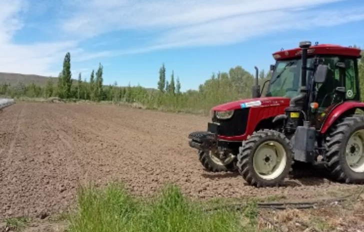  La baja oferta forrajera de pastizales naturales está limitando la mejora productiva.