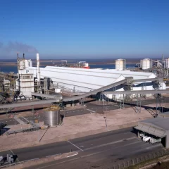 YPF aprobó la oferta de Adecoagro para venderle su participación en Profertil