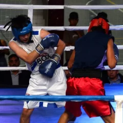 Quien es quien en la última pelea del año