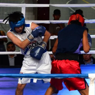 Quien es quien en la última pelea del año