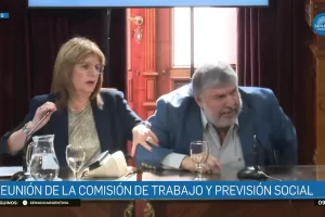 Reforma laboral: “Hacen lo que se les canta las …”, el fuerte cruce de José Mayans a Patricia Bullrich en el inicio del debate Reforma laboral: “Hacen lo que se les canta las …”, el fuerte cruce de José Mayans a Patricia Bullrich en el inicio del debate