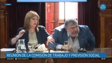Reforma laboral: “Hacen lo que se les canta las …”, el fuerte cruce de José Mayans a Patricia Bullrich en el inicio del debate Reforma laboral: “Hacen lo que se les canta las …”, el fuerte cruce de José Mayans a Patricia Bullrich en el inicio del debate