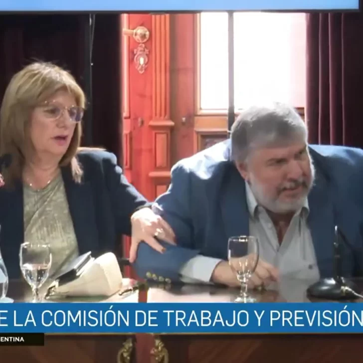 Reforma laboral: “Hacen lo que se les canta las …”, el fuerte cruce de José Mayans a Patricia Bullrich en el inicio del debate Reforma laboral: “Hacen lo que se les canta las …”, el fuerte cruce de José Mayans a Patricia Bullrich en el inicio del debate