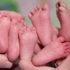 Histórico nacimiento de trigemelas en Trelew: en qué se diferencian de las trillizas