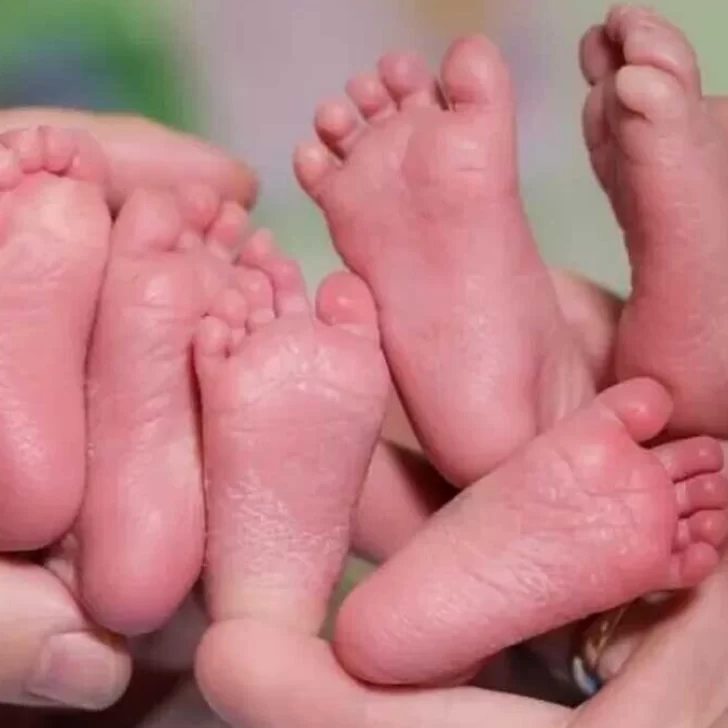 Histórico nacimiento de trigemelas en Trelew: en qué se diferencian de las trillizas Histórico nacimiento de trigemelas en Trelew: en qué se diferencian de las trillizas