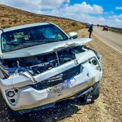 Una camioneta chocó con un guanaco en el ingreso al Parque Nacional Monte León: tres personas fueron trasladadas al hospital
