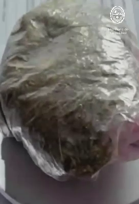  Una de las bolsas que contenía marihuana. FOTO: MINISTERIO DE SEGURIDAD