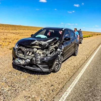 Un auto chocó contra un guanaco en dirección a Tres Cerros