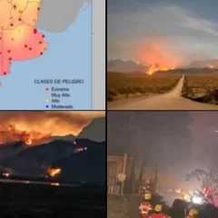 Ana María Ianni por los incendios en la Patagonia: “Nuestro país está en llamas”