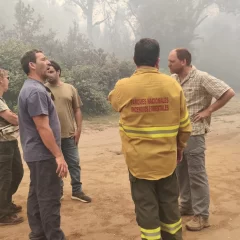 Diputados nacionales piden declarar la Emergencia Ígnea, Ambiental y Socioeconómica en la región