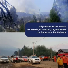 Vidal compartió imágenes de cómo trabaja el cuerpo de brigadistas en “Los Alerces”