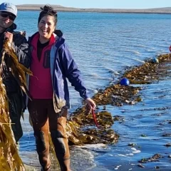 Cultivo de algas: crece un proyecto pionero para proteger el mar patagónico