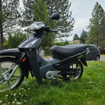 Cámaras registraron el robo de una moto a metros del Anfiteatro del Bosque en El Calafate Cámaras registraron el robo de una moto a metros del Anfiteatro del Bosque en El Calafate