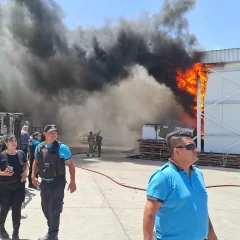 Incendio de gran magnitud en Conarpesa: el viento y el amoníaco complicaron el operativo en Puerto Madryn