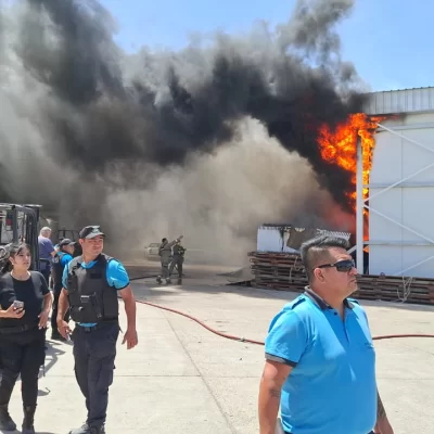 Incendio de gran magnitud en Conarpesa: el viento y el amoníaco complicaron el operativo en Puerto Madryn