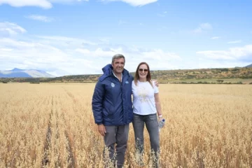 “Queremos que estas hectáreas se multipliquen y convoquen a más productores”, dijo Sívori en la primera cosecha de avena en Santa Cruz “Queremos que estas hectáreas se multipliquen y convoquen a más productores”, dijo Sívori en la primera cosecha de avena en Santa Cruz
