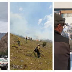 60 personas combaten el incendio en Parque Nacional Los Glaciares y siguen llegando refuerzos