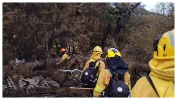 704 hectáreas fueron afectadas por el incendio en Parque Nacional Los Glaciares 704 hectáreas fueron afectadas por el incendio en Parque Nacional Los Glaciares