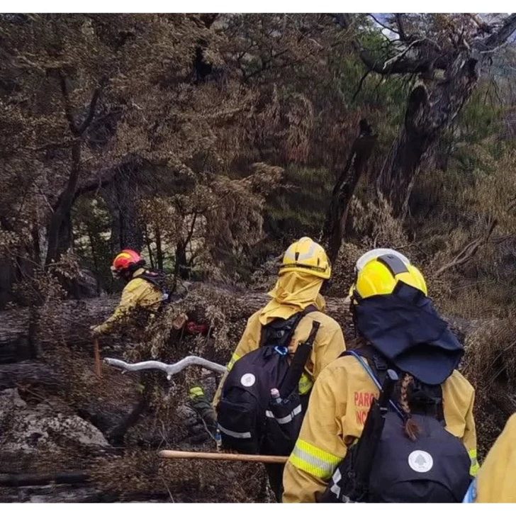 704 hectáreas fueron afectadas por el incendio en Parque Nacional Los Glaciares 704 hectáreas fueron afectadas por el incendio en Parque Nacional Los Glaciares
