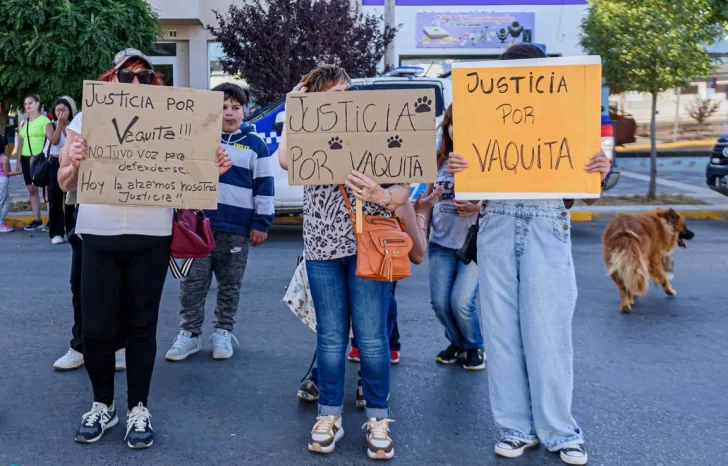 MARCHA-POR-VAQUITA-7-728x466 MARCHA-POR-VAQUITA-7-728x466