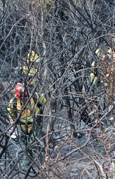 Se declaró extinguido el incendio en Parque Nacional Los Glaciares Se declaró extinguido el incendio en Parque Nacional Los Glaciares