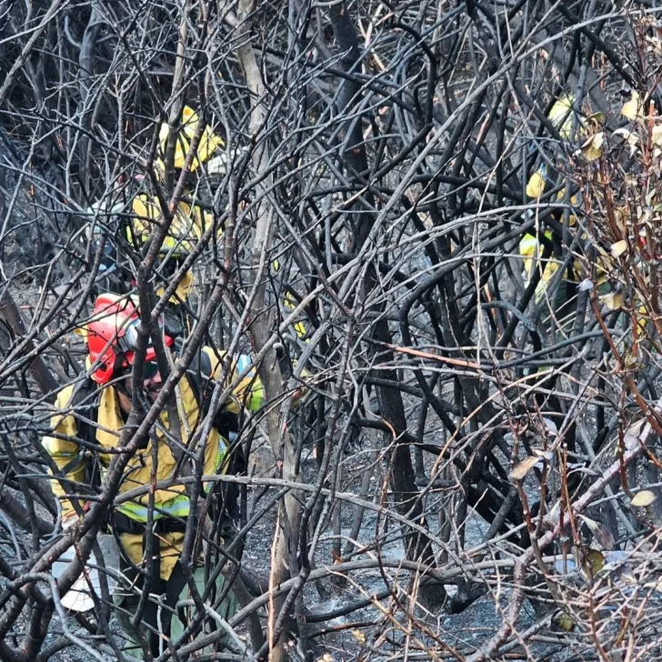 Se declaró extinguido el incendio en Parque Nacional Los Glaciares Se declaró extinguido el incendio en Parque Nacional Los Glaciares