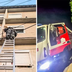 Rescate animal en Río Gallegos y Caleta Olivia: bomberos salvaron a dos gatitos