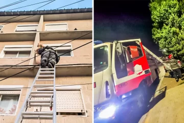 Rescate animal en Río Gallegos y Caleta Olivia: bomberos salvaron a dos gatitos Rescate animal en Río Gallegos y Caleta Olivia: bomberos salvaron a dos gatitos