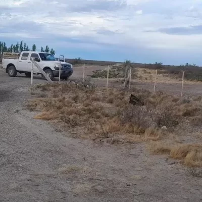 Rompieron un alambrado y se apoderaron de dos ovejas: son intensamente buscado