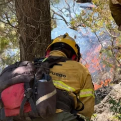 Manuel Adorni, sobre los incendios: “Nación continúa asistiendo a las provincias afectadas”