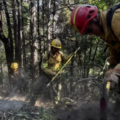 Incendios en Chubut: bomberos voluntarios de Chile se suman a los más de 500 brigadistas