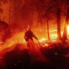 Nación declaró la emergencia ígnea en cuatro provincias por incendios en la Patagonia