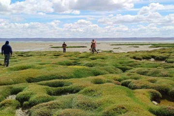 Continúa la búsqueda de Gabriel Mileca: intensifican rastrillajes en Río Gallegos y zonas rurales Continúa la búsqueda de Gabriel Mileca: intensifican rastrillajes en Río Gallegos y zonas rurales