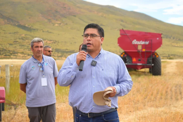 claudio-Vidal-Gustavo-Sivori-estancia-alice-cosecha-avena-7-728x485 claudio-Vidal-Gustavo-Sivori-estancia-alice-cosecha-avena-7-728x485