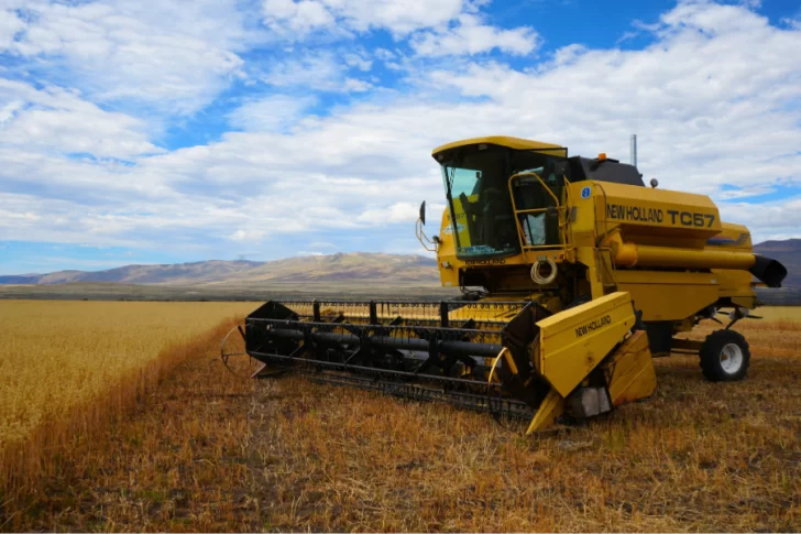  La cosecha de trigo en la estancia Alice de El Calafate.