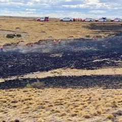 Incendio rural cerca de Río Gallegos moviliza al Consejo Agrario