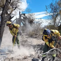 Declararon zona de desastre y emergencia ígnea en Santa Cruz por los incendios en el Parque Nacional Los Glaciares
