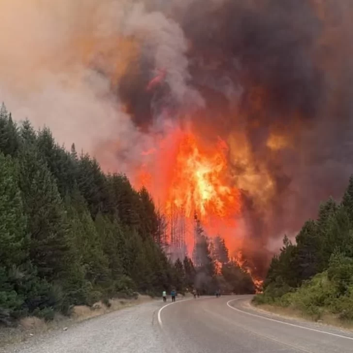 Incendios en Chubut: El fuego no cesa y piden extrema precaución para circular por la Ruta 40 Incendios en Chubut: El fuego no cesa y piden extrema precaución para circular por la Ruta 40