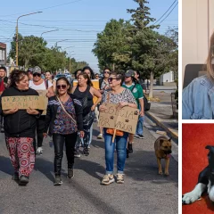 “No hubo violación”: después de la marcha por “Vaquita”, el Municipio negó el abuso sexual a la perrita