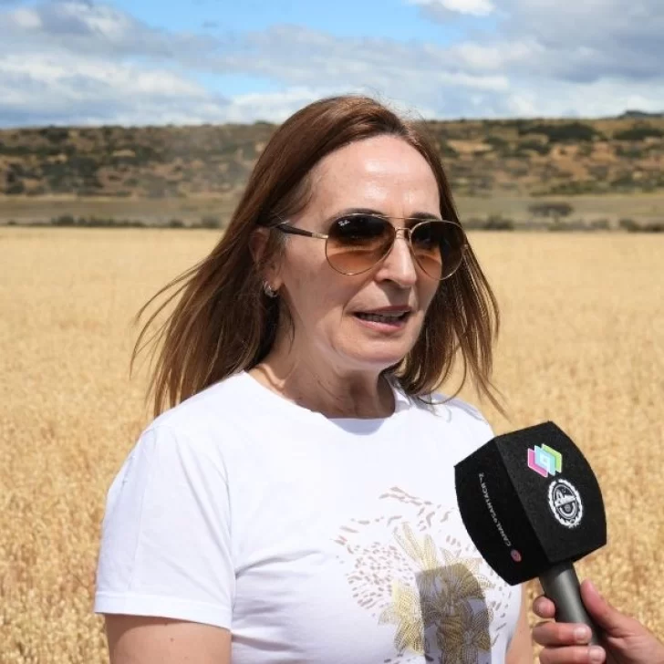 Nadia Ricci valoró el compromiso de los productores en la cosecha de avena de El Calafate Nadia Ricci valoró el compromiso de los productores en la cosecha de avena de El Calafate