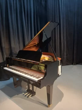 El Teatro Gran Cabral incorporará un piano de cola y potencia la escena cultural local El Teatro Gran Cabral incorporará un piano de cola y potencia la escena cultural local