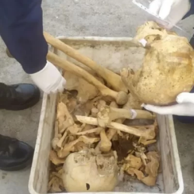 Encontraron cuatro cráneos en un basural de Chubut