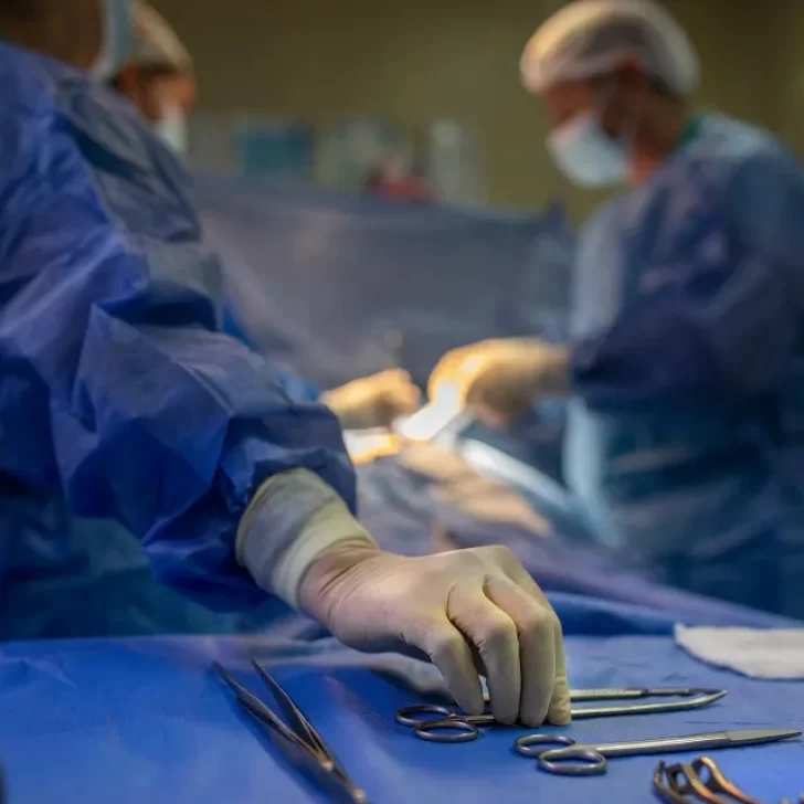 En 2025, Argentina superó la cifra histórica de donantes de órganos y de trasplantes En 2025, Argentina superó la cifra histórica de donantes de órganos y de trasplantes