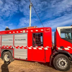 Rescataron a un gatito que estaba atrapado en un poste en El Calafate