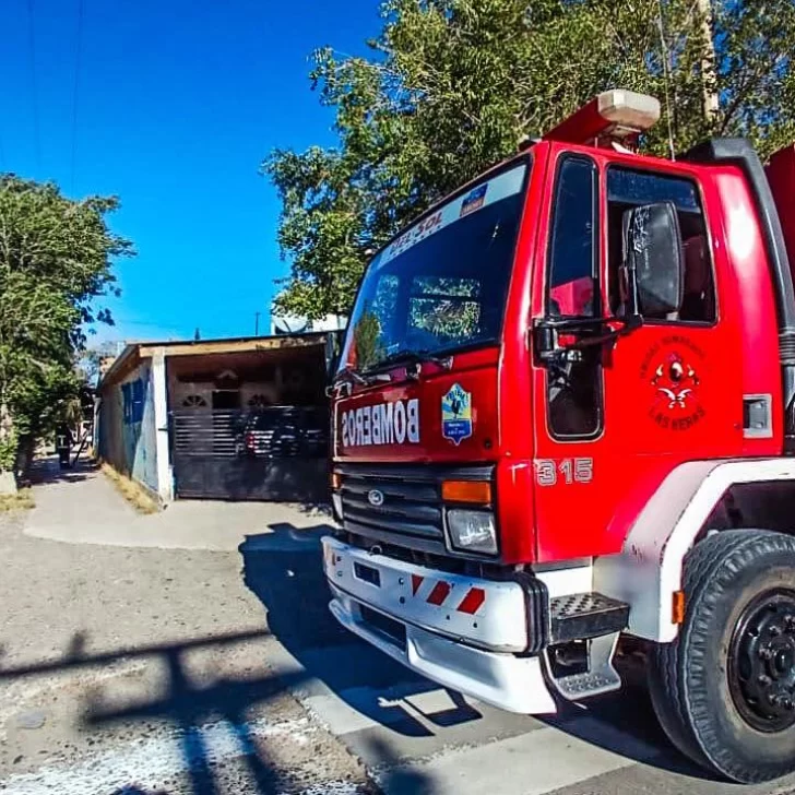 Un perro quedó atrapado en un techo y bomberos acudieron al rescate en Río Turbio Un perro quedó atrapado en un techo y bomberos acudieron al rescate en Río Turbio