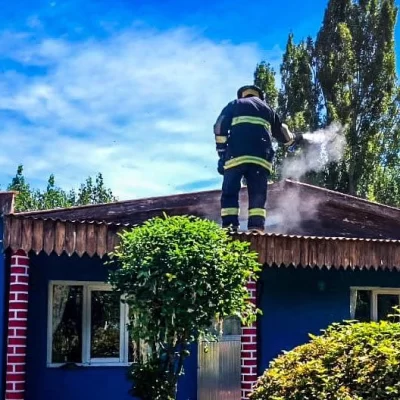 Removieron un panel de abejas de un techo en Piedra Buena Removieron un panel de abejas de un techo en Piedra Buena