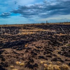Río Gallegos: sofocaron un incendio de pasturas en zona de chacras
