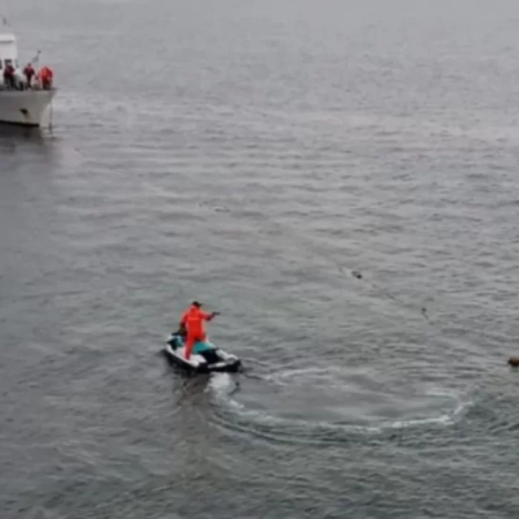 Prefectura busca a una joven buzo de 23 años desaparecida en Puerto Madryn durante un bautismo de buceo