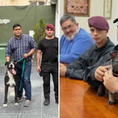 Claudio Vidal anunció la llegada de dos nuevos integrantes a la División Canes