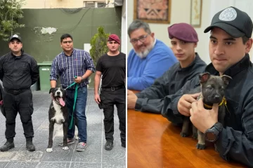 Claudio Vidal anunció la llegada de dos nuevos integrantes a la División Canes Claudio Vidal anunció la llegada de dos nuevos integrantes a la División Canes